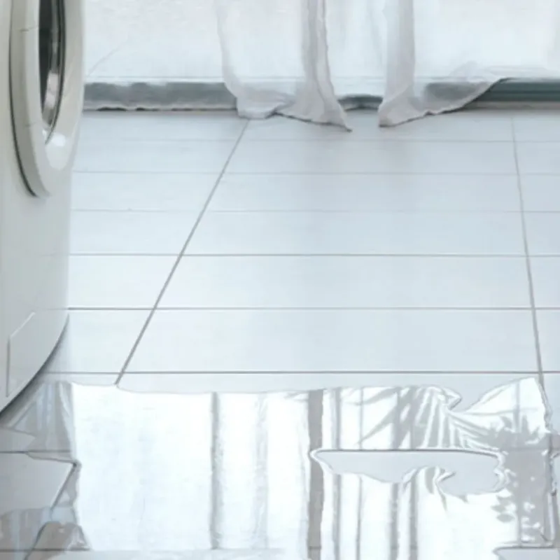 Appliance Leak Cleanup in Russell, KY