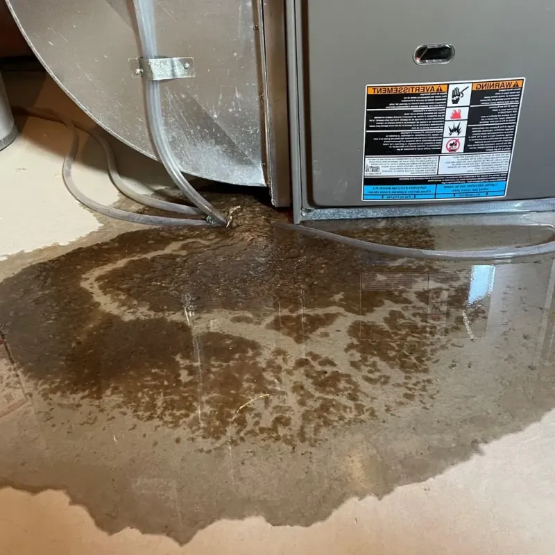 Pipe Burst and Leak Restoration in Russell, KY
