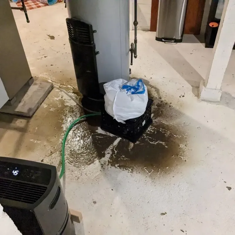 Sewage Backup Cleanup Service in Russell, KY
